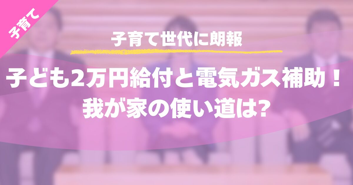【子育て世代に朗報】子ども2万円給付と電気ガス補助！我が家の使い道は?