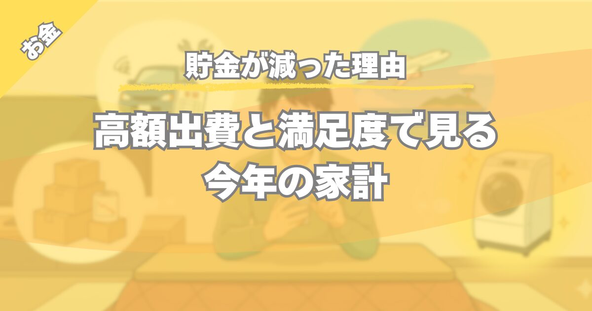【貯金が減った理由】高額出費5選を満足度で家計分析