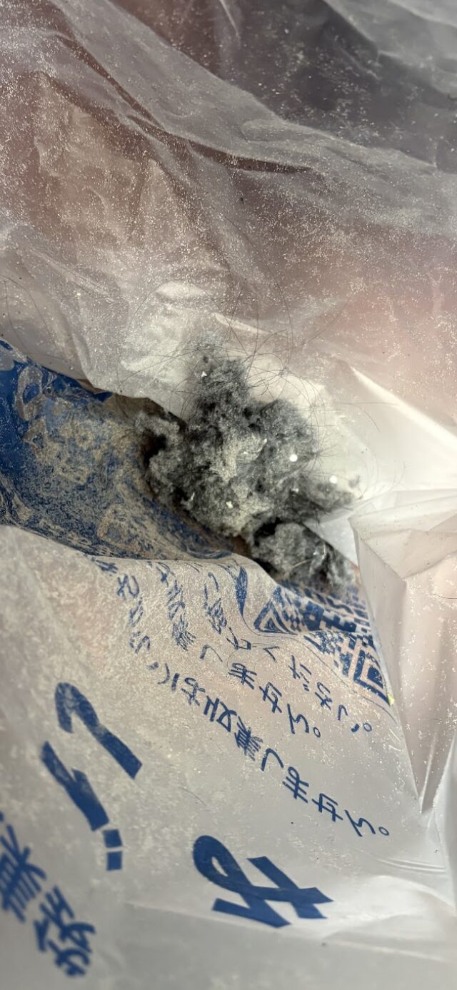 稼働2回で集められたゴミ。これだけ集まったことに驚いています。